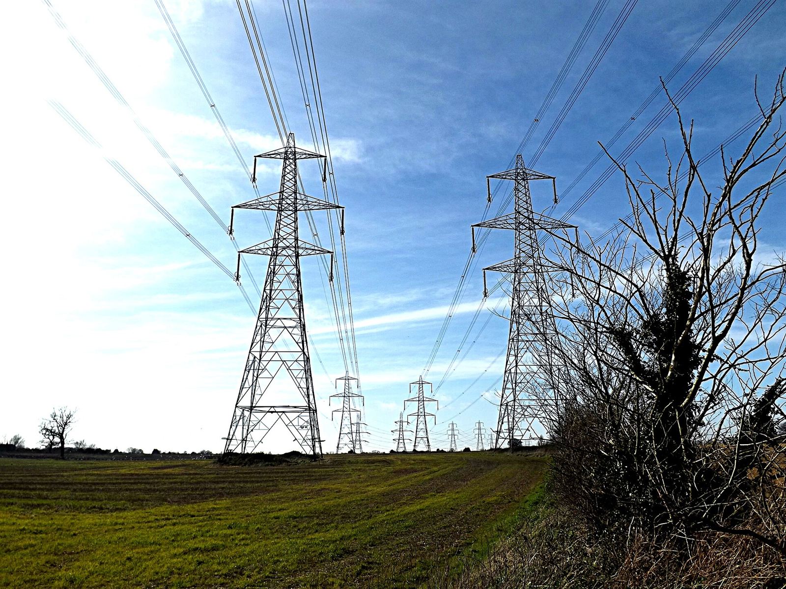 A line of electricity pylons crossing farmland